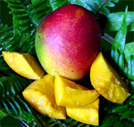 Mango Fruit