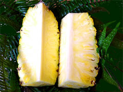 Sliced Pineapple Fruit